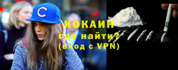 трава Белокуриха