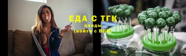 трава Белокуриха
