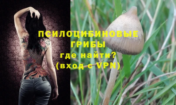 трава Белокуриха