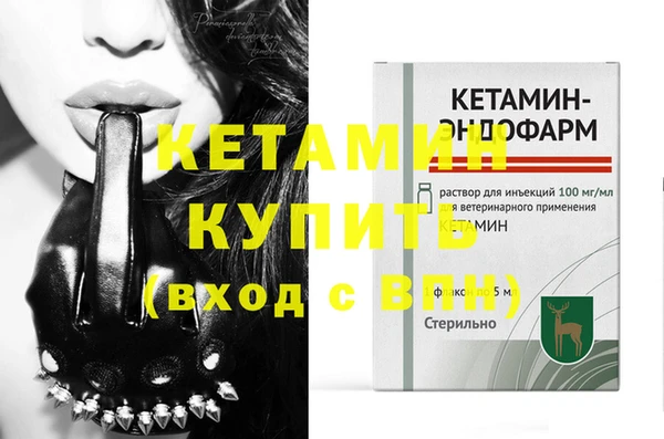 трава Белокуриха