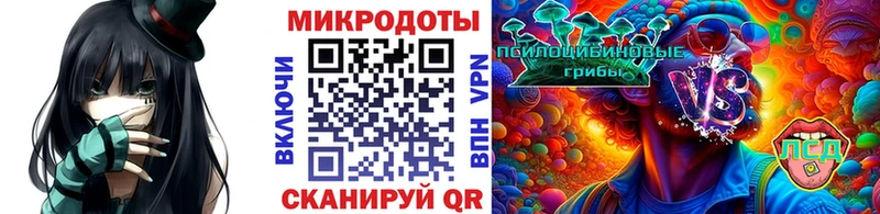 Псилоцибиновые грибы Magic Shrooms нарко площадка какой сайт Козловка